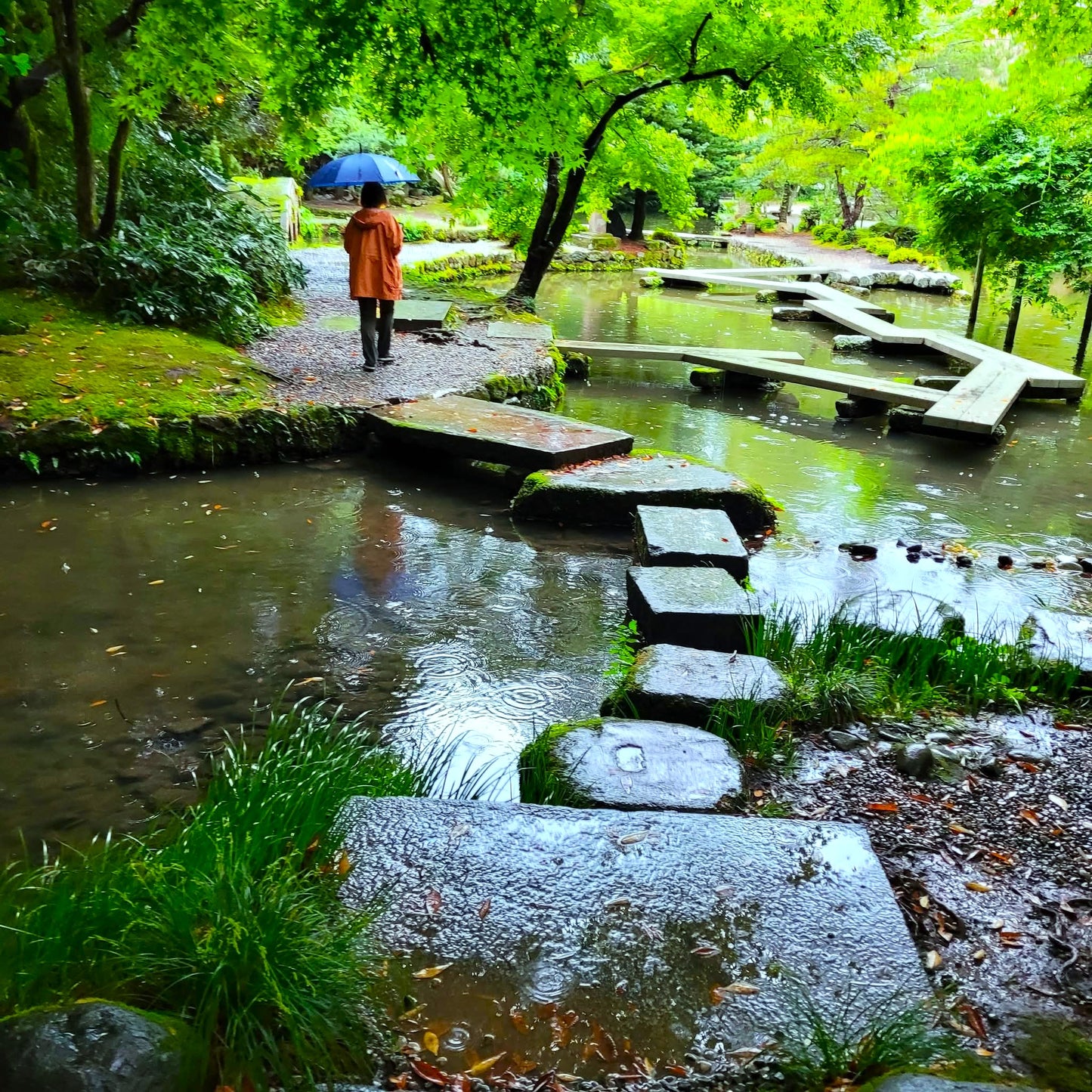 Travel Art Luggage, The moment the Rain Kissed the Park