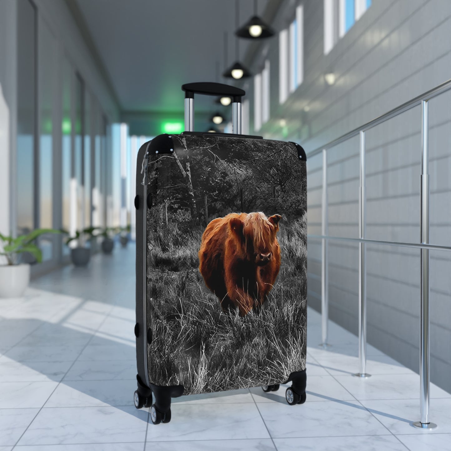 This is a Instant Charmer!  Charlie, the Coo of the Highlands/Ultra-Light Effortless Travel