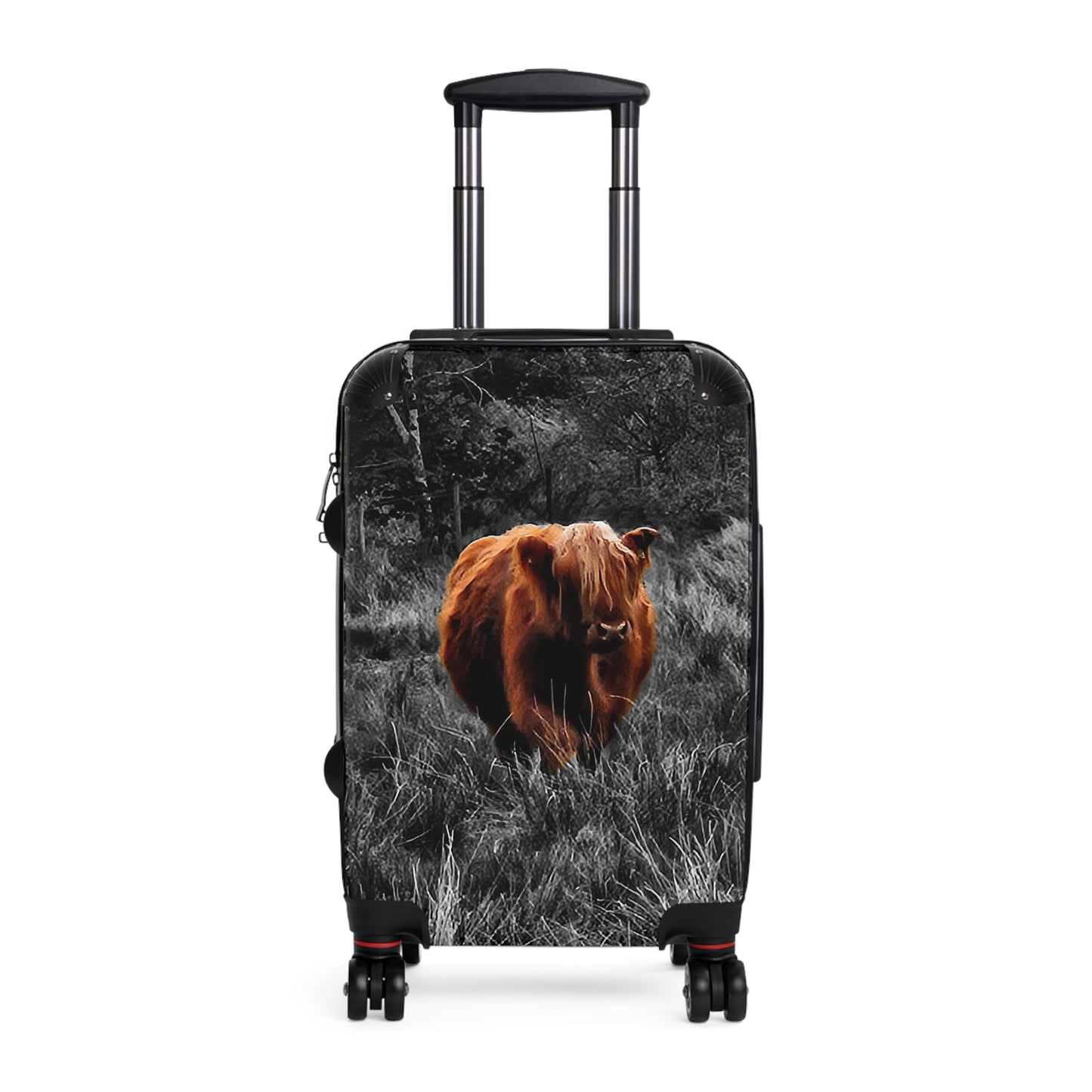 This is a Instant Charmer!  Charlie, the Coo of the Highlands/Ultra-Light Effortless Travel