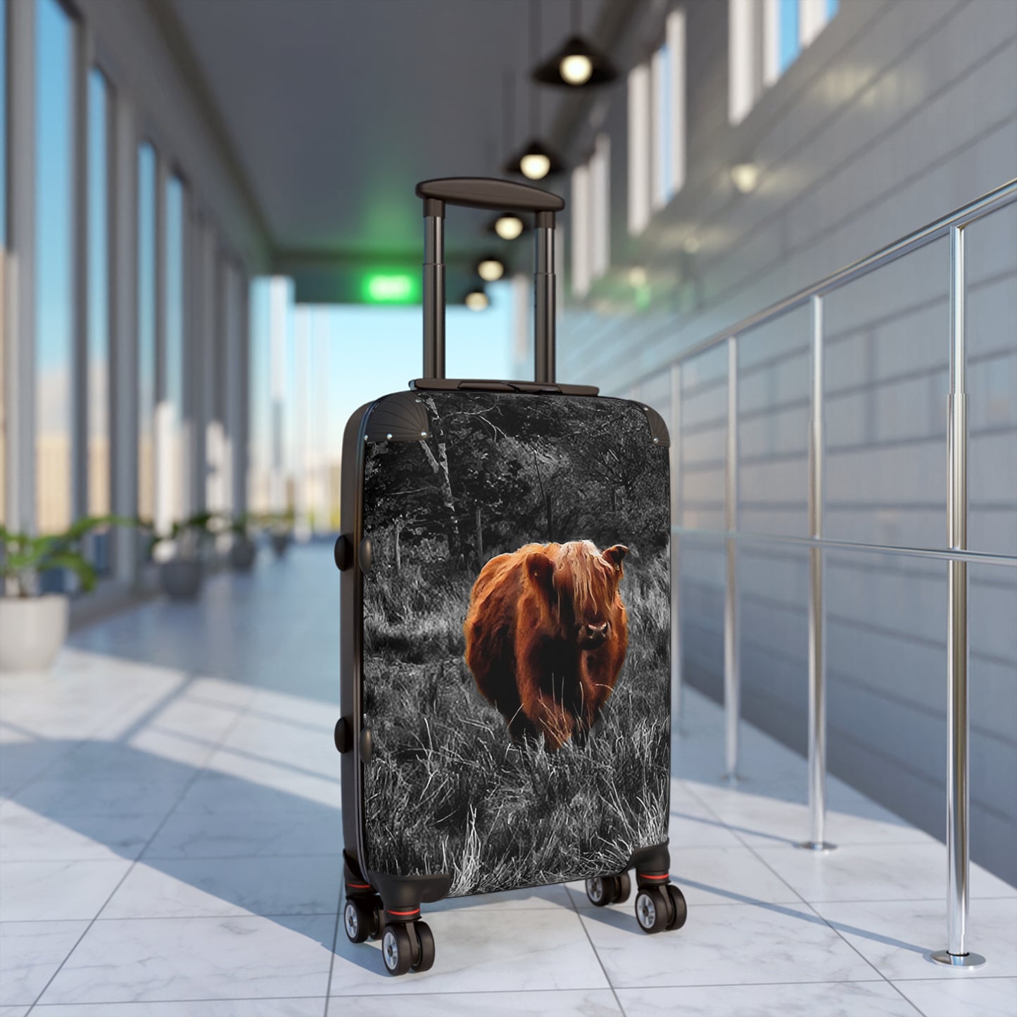 This is a Instant Charmer!  Charlie, the Coo of the Highlands/Ultra-Light Effortless Travel