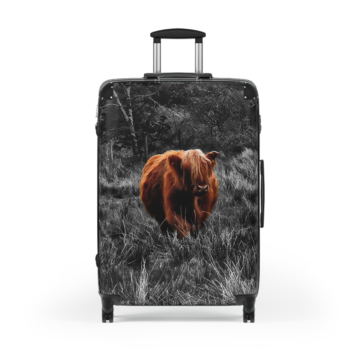This is a Instant Charmer!  Charlie, the Coo of the Highlands/Ultra-Light Effortless Travel