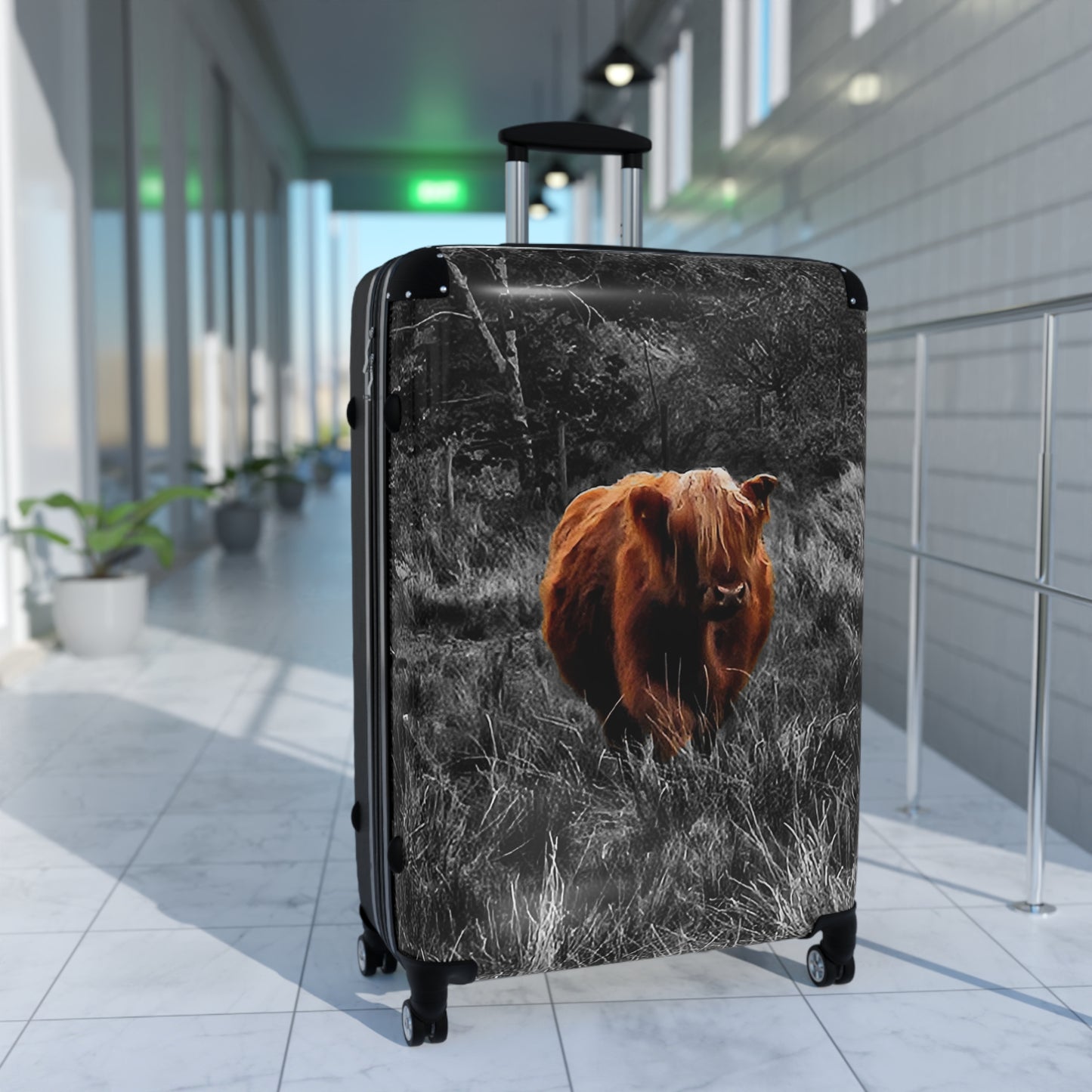 This is a Instant Charmer!  Charlie, the Coo of the Highlands/Ultra-Light Effortless Travel